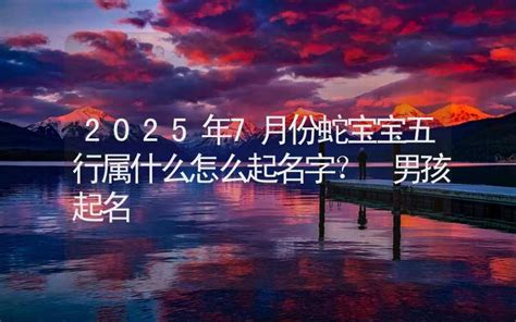 2025五行属什么